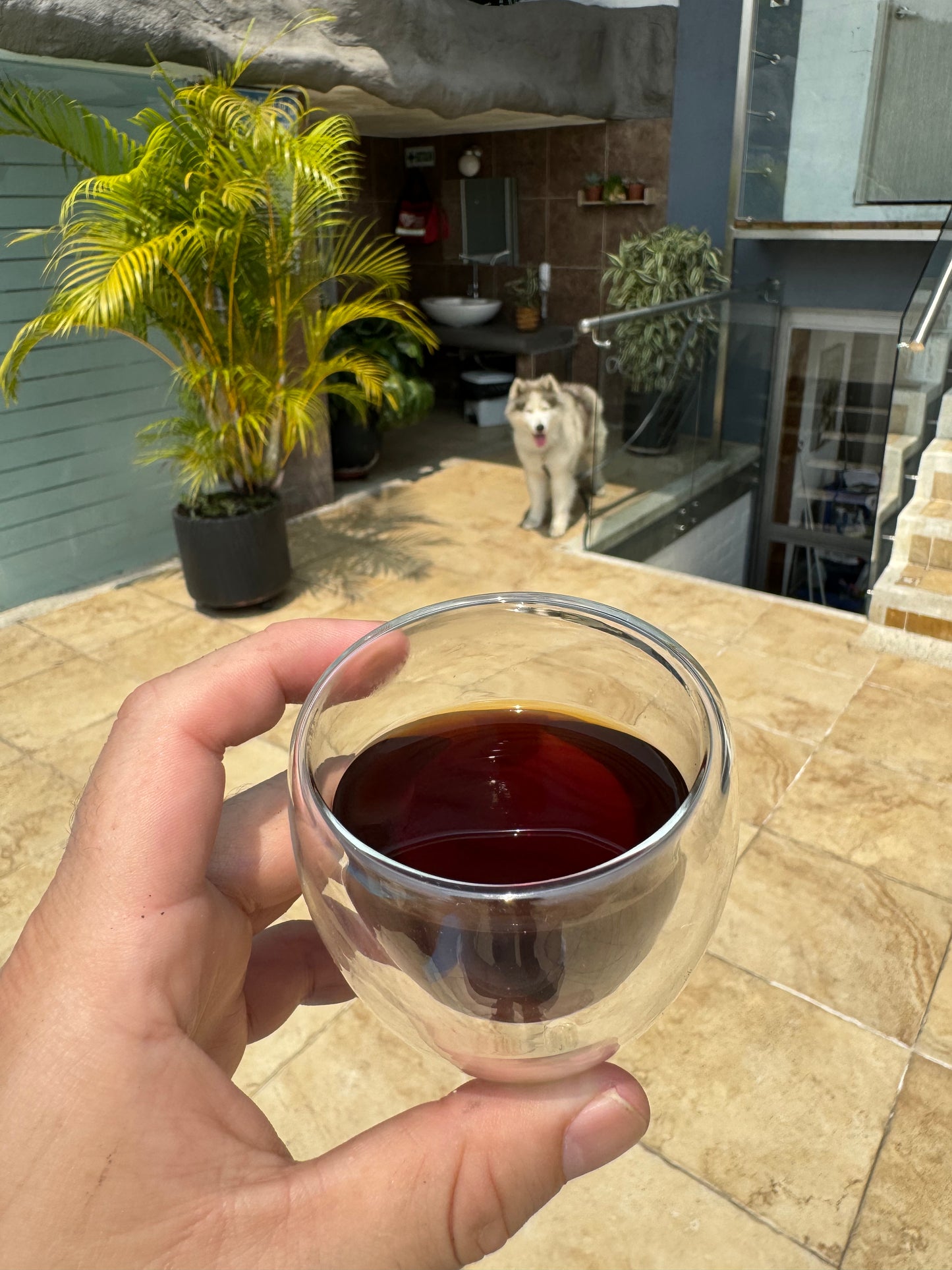 Emerald Series- Gesha Natural