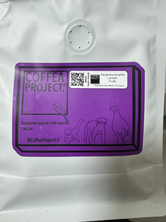 Pacamara Amarillo - Huila- Washed