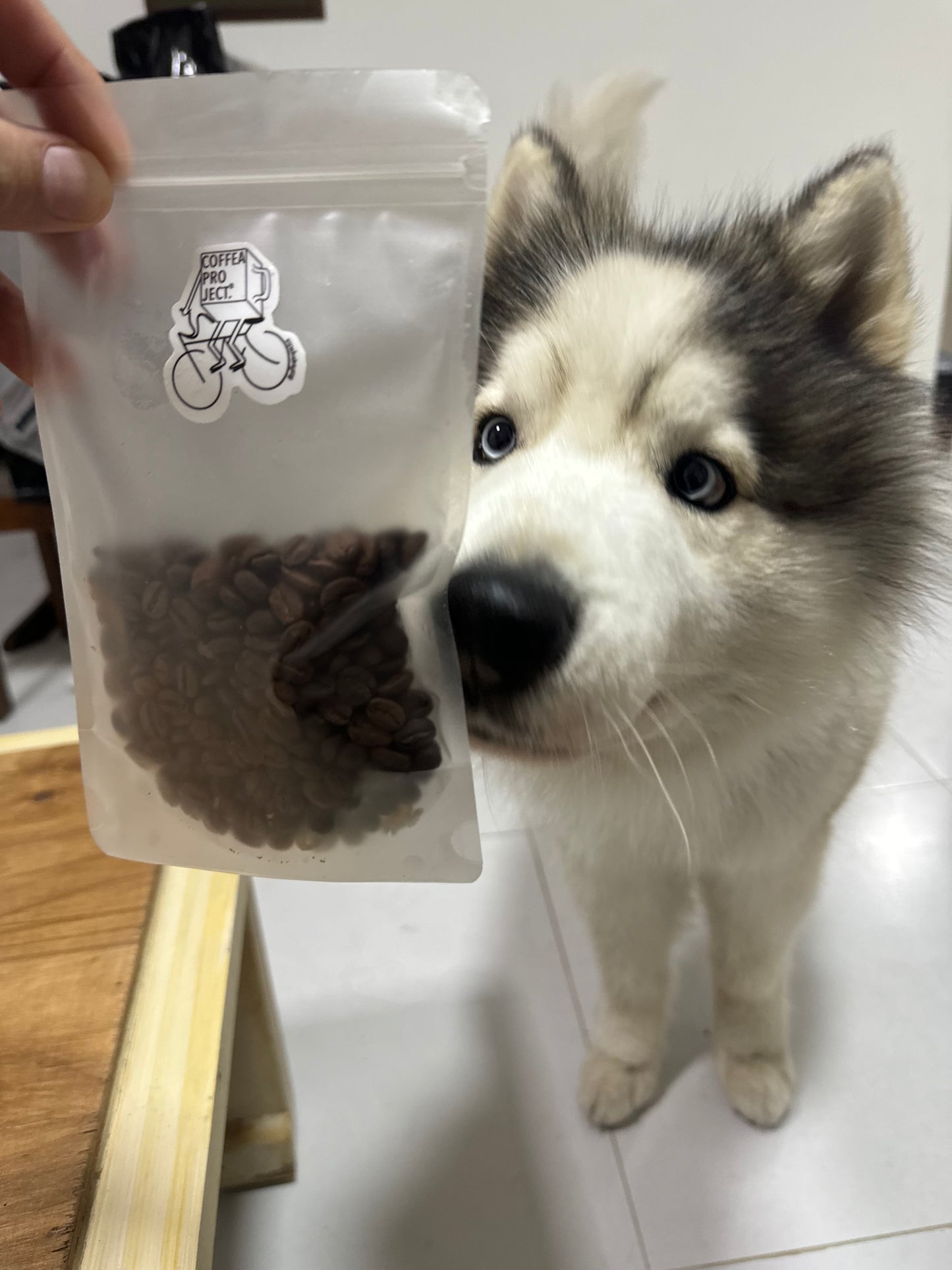 SL 28 by Quebradita Farms