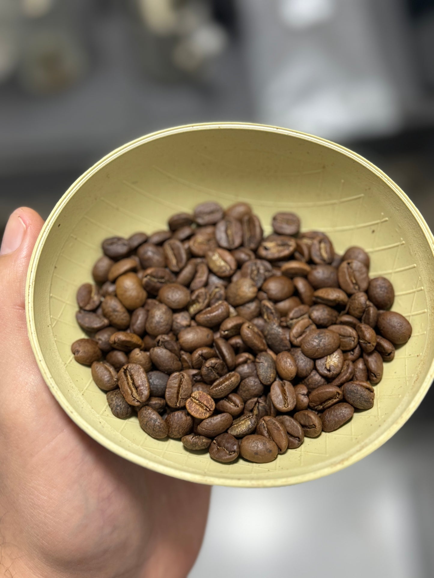 SL 28 by Quebradita Farms