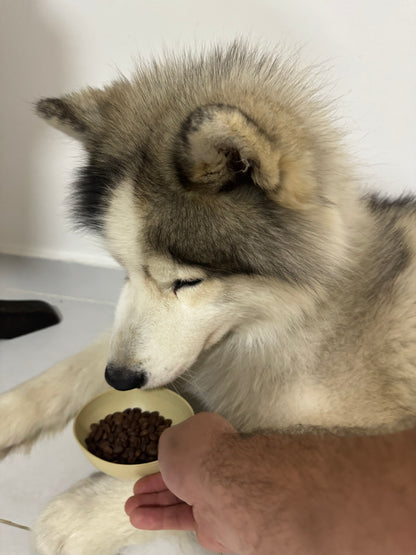 SL 28 by Quebradita Farms