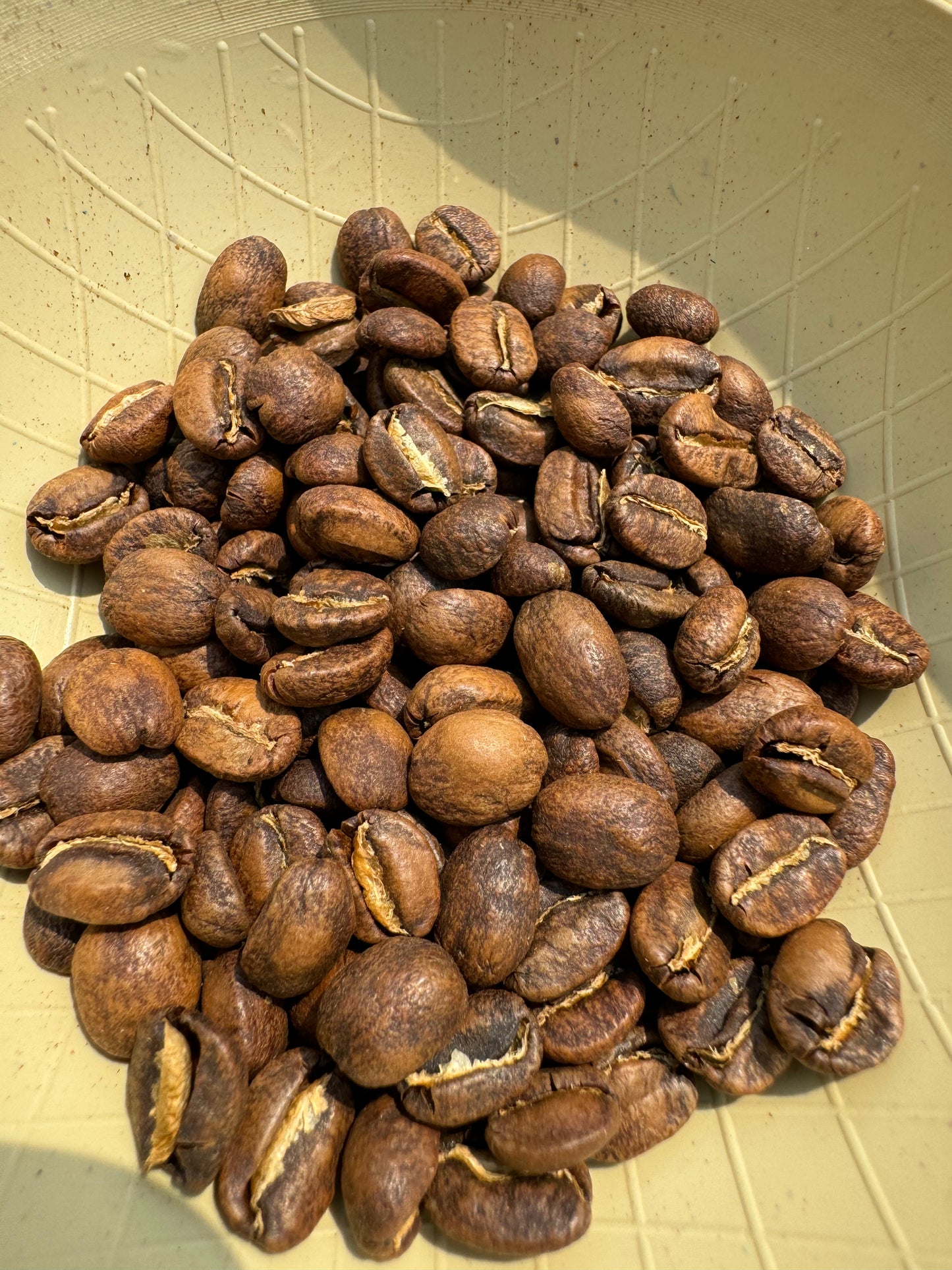 Emerald Series - Gesha Washed