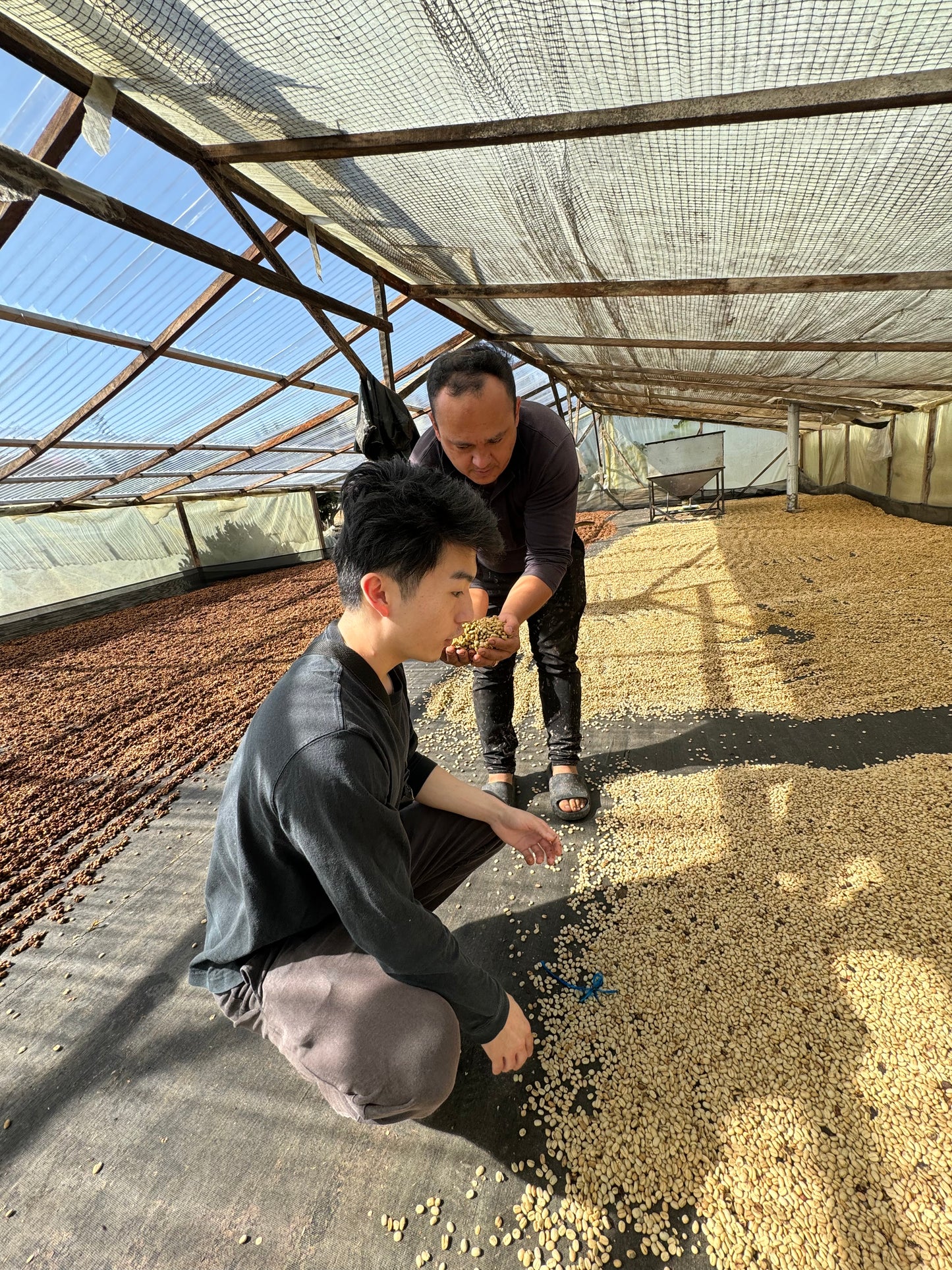 On Site Coffee Tours